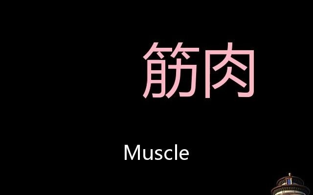 筋肉 Chinese Pronunciation muscle哔哩哔哩bilibili