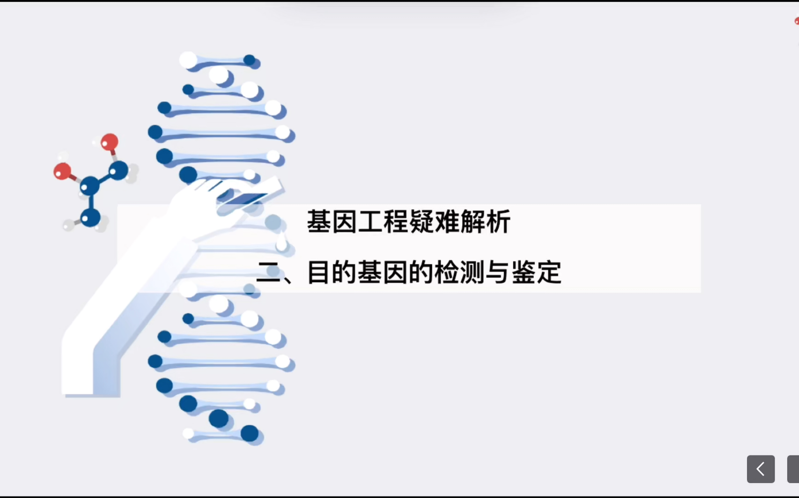 【MY高中生物】基因工程的基本操作程序|目的基因的检测与鉴定|PCR技术的应用检测目的基因哔哩哔哩bilibili