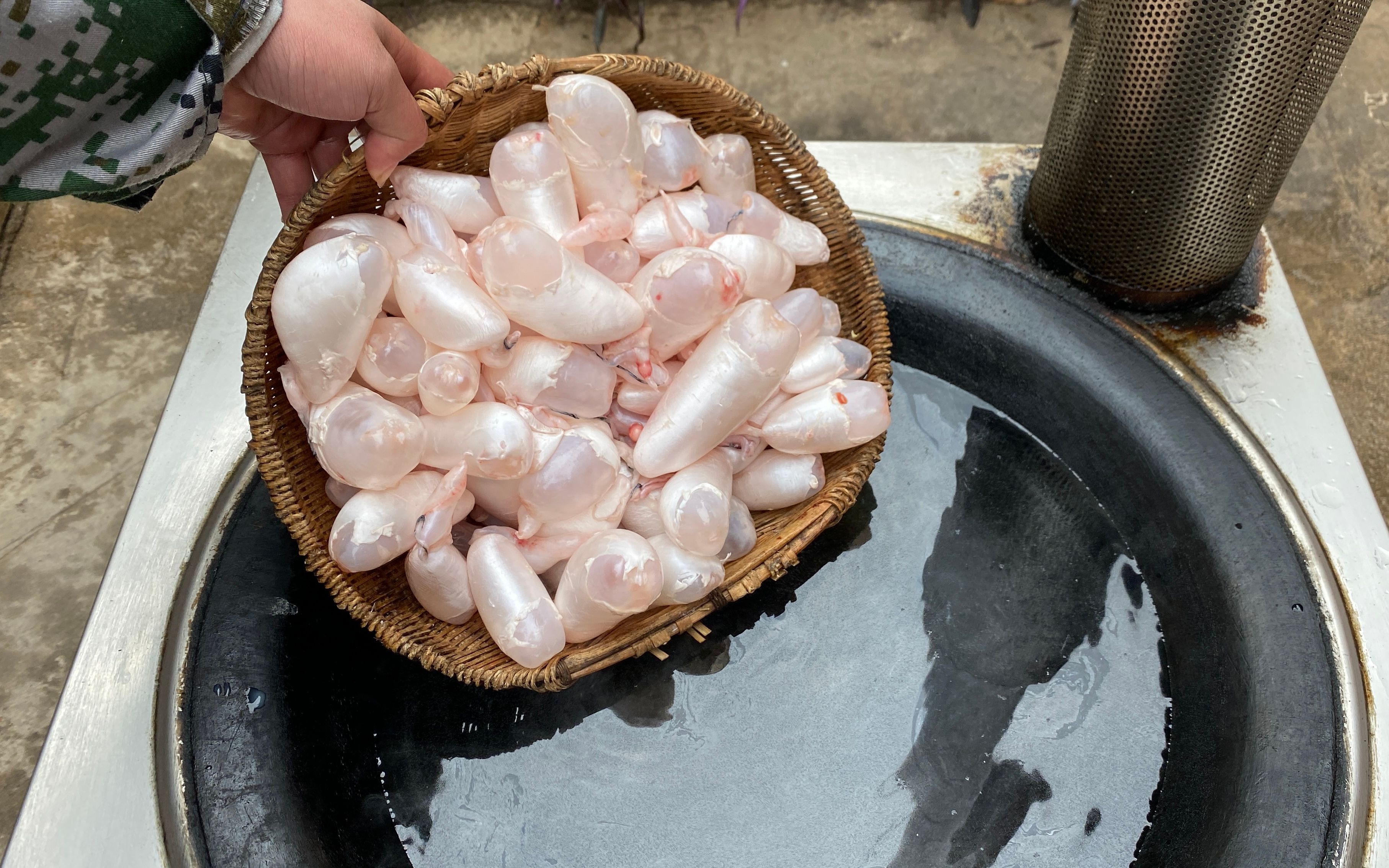 吃了半辈子鱼泡,原来鱼泡和它才是绝配,吃上一次