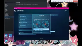 Download Video: SwitchPro连接Steam电脑设置