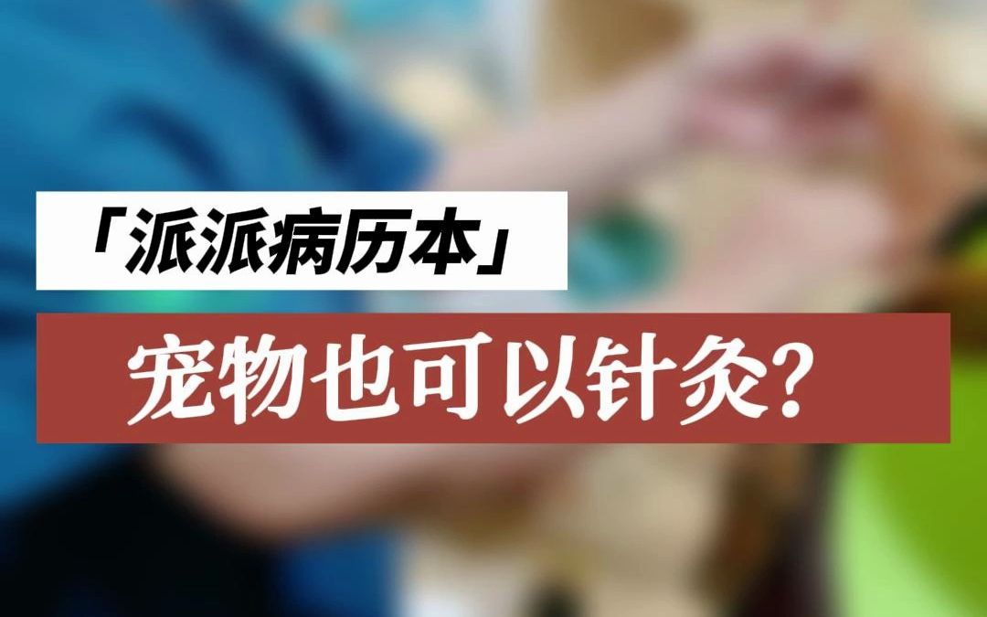 【瑞派宠医】我不是最后一个知道狗狗也能做针灸的吧!哔哩哔哩bilibili