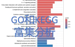 下载视频: 10. GO和KEGG富集分析