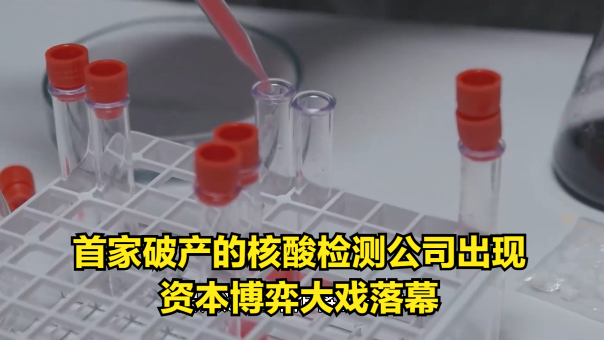 美梦该醒了,首家破产的核酸检测公司出现,资本博弈大戏落幕哔哩哔哩bilibili