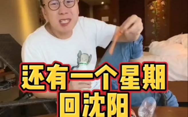 王岩日记还有七天回沈阳