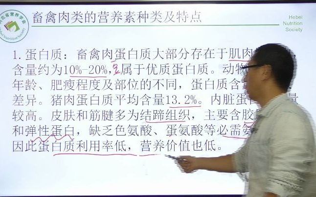 5各类食物营养价值(动物性食物)哔哩哔哩bilibili