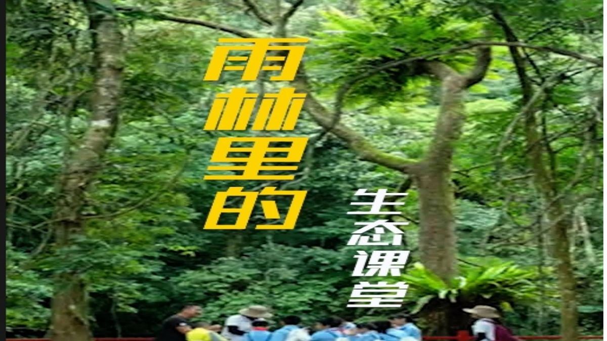 《中国海南ⷩ›覞—秘境》系列短视频第24集:雨林里的生态课堂哔哩哔哩bilibili