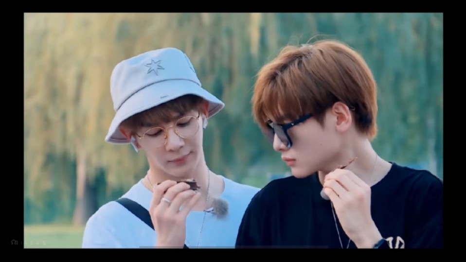 【光电潇应】r1se蓄能季 喂马划船篝火