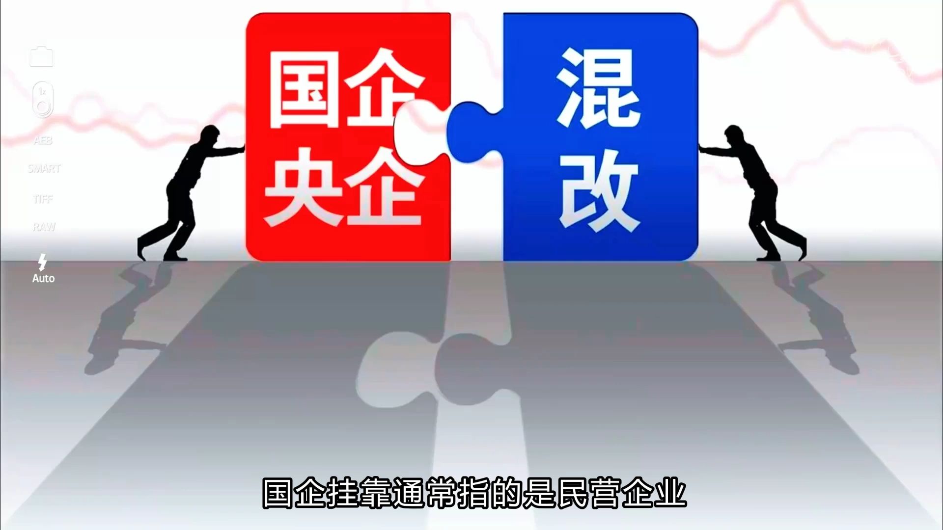 国企挂靠:国企是否参与利润分配?哔哩哔哩bilibili