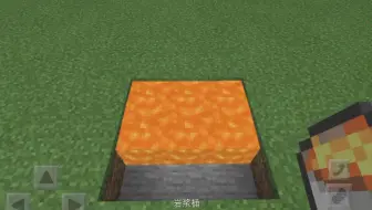 建议改成:动 物 迷 惑 行 为