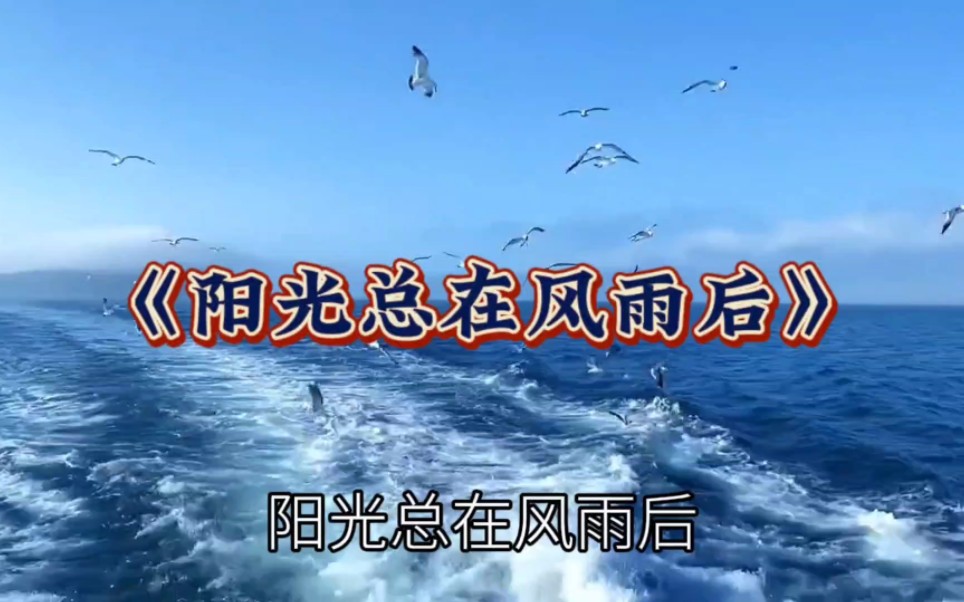 《阳光总在风雨后》:阳光总在风雨后,乌云上有晴空