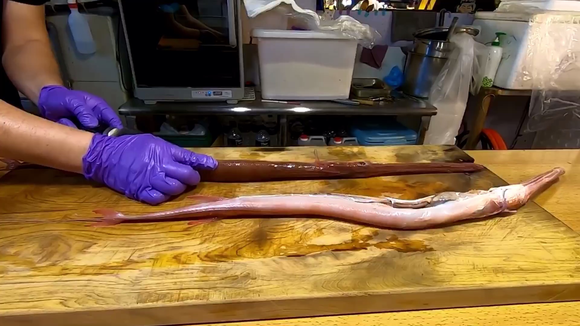 【马鞭鱼立做刺身寿司】也叫红烟管鱼这种海鱼做新鲜上岸做成寿司