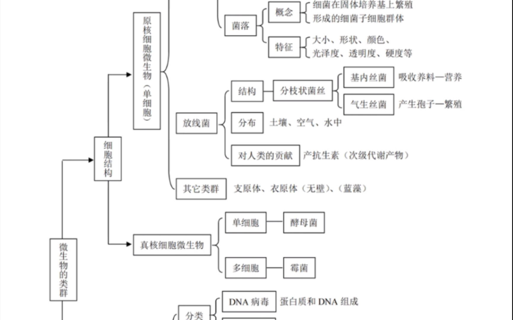 [图]思维导图-高中生物知识结构网络图框架梳理知识点总结可下载