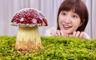 红伞伞，白杆杆，做了一周手酸酸。。