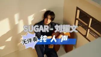 Télécharger la video: 【刘耀文】《SUGAR》纯人声（消音）