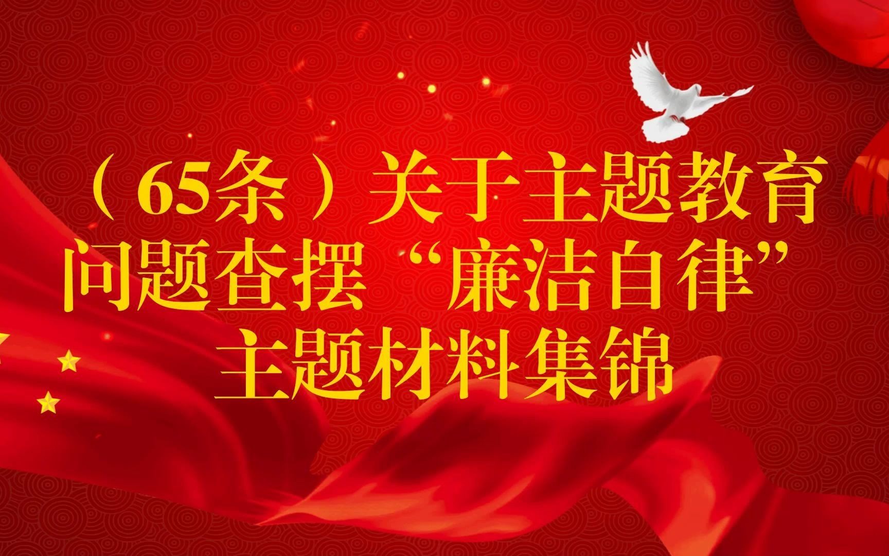 (65条)关于主题教育问题查摆“廉洁自律”主题材料集锦哔哩哔哩bilibili