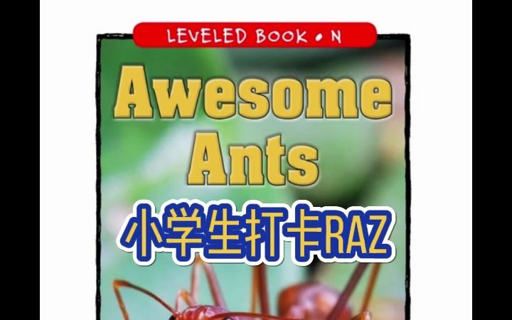 小学生打卡 RAZ(N) Awesome Ants 神奇的蚂蚁 蓝思值600 (antennae, thorax, species, vibration)哔哩哔哩bilibili