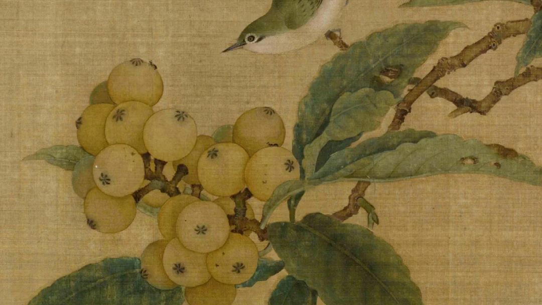 宋人花鸟小品【枇杷绣眼】构图解析