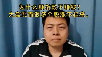 下载视频: 为什么赚指数不赚钱？大盘涨而很多个股涨不起来。