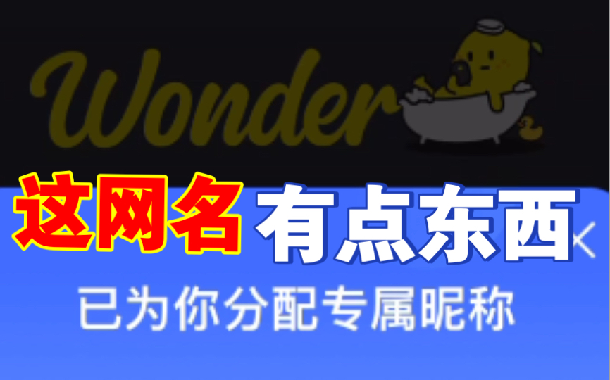 有趣的网名~wonder真的是宝藏!哔哩哔哩bilibili