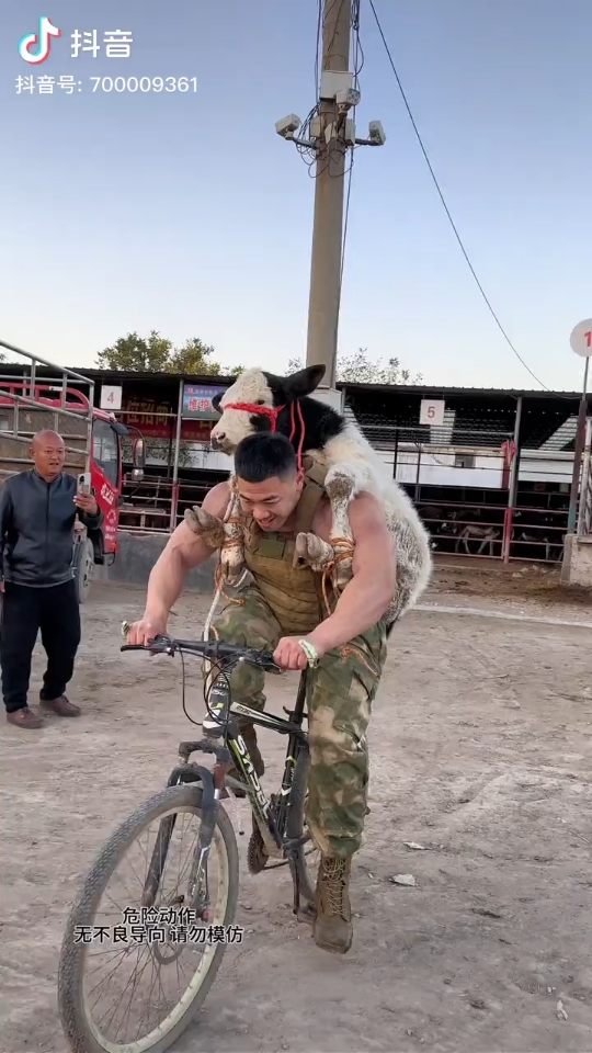 北腿王泰坦背着牛骑自行车