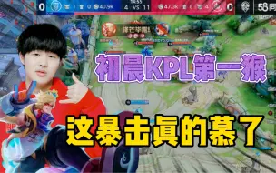 Download Video: KPL上拿猴子也就初晨了，棍棍暴击，萧玦深有体会