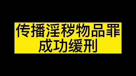 传播淫秽物品罪,缓刑哔哩哔哩bilibili