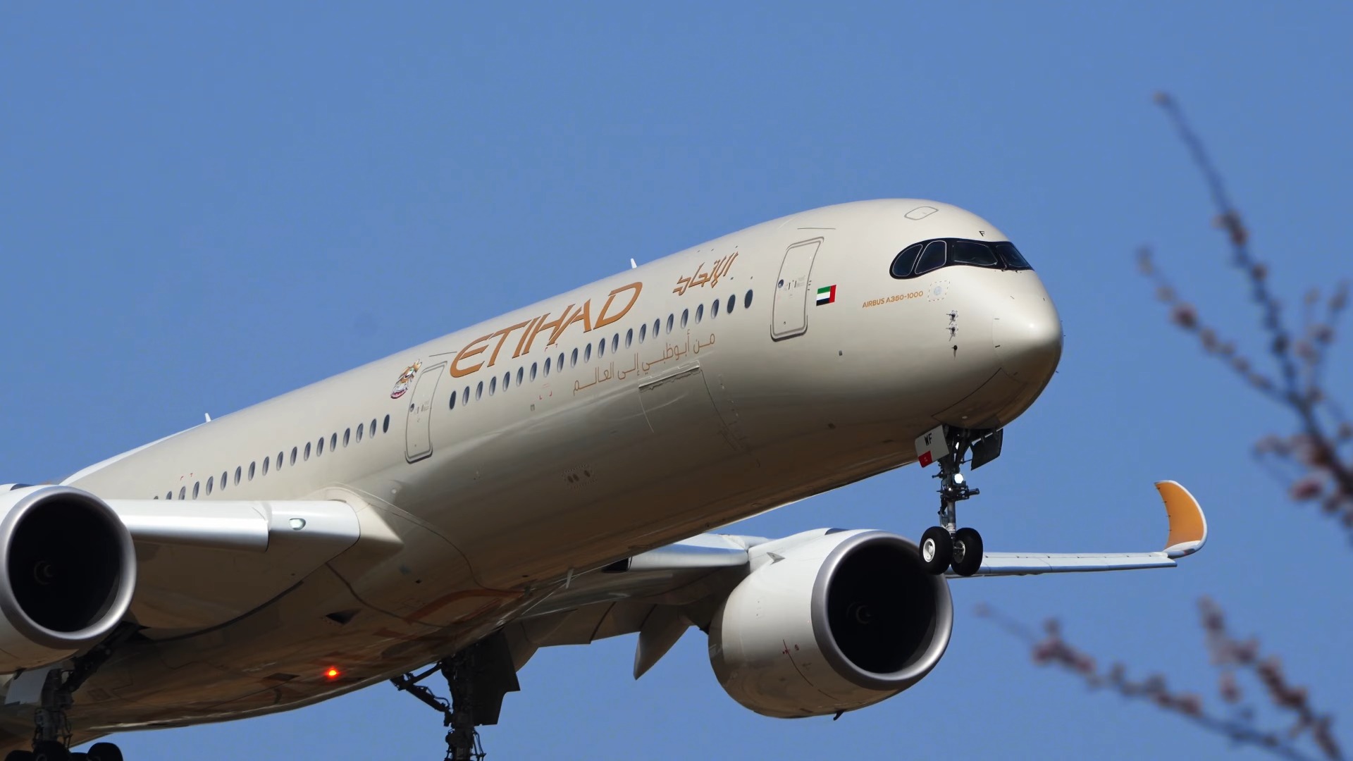 Etihad A3501000 A6XWF|成田空港|4KK哔哩哔哩bilibili