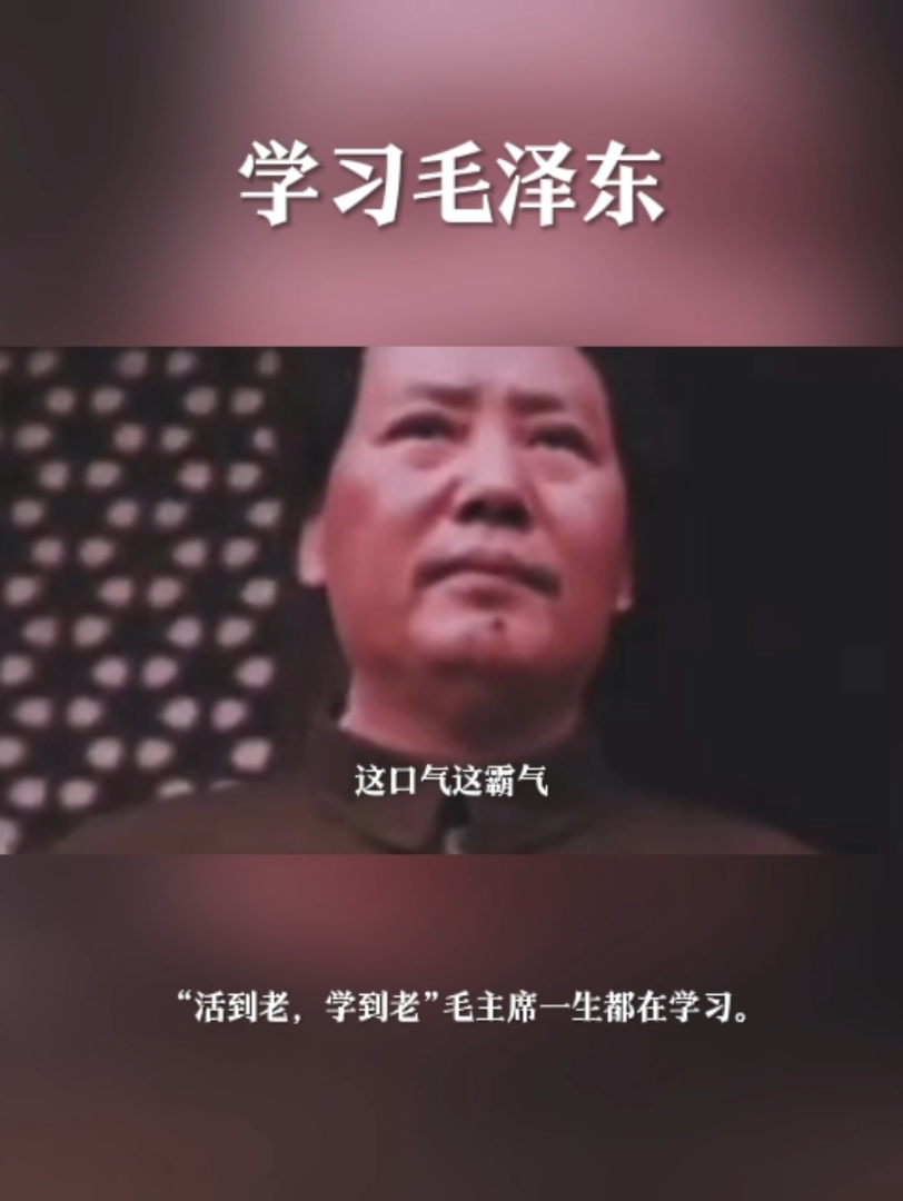 “活到老,学到老”毛主席一生都在学习.哔哩哔哩bilibili