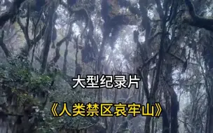 Tải video: 哀牢山是什么地方，为什么从这里带出的一小瓶颜料就要几万甚至几十万