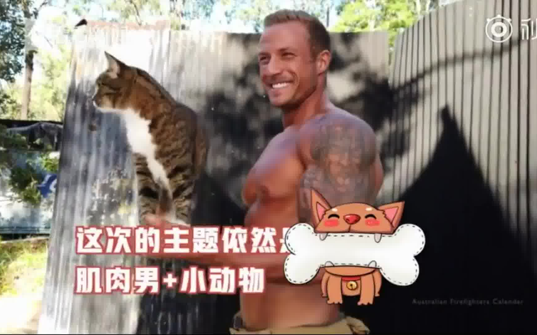 澳大利亚消防员2020年新挂历:钢铁猛男加呆萌小动物哔哩哔哩bilibili