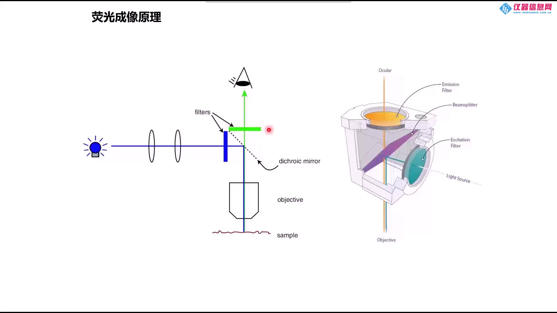 干涉滤光片在显微成像中的选择与应用哔哩哔哩bilibili