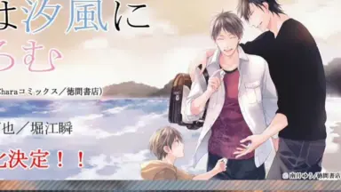 雛鳥は汐風にまどろむ-哔哩哔哩_Bilibili