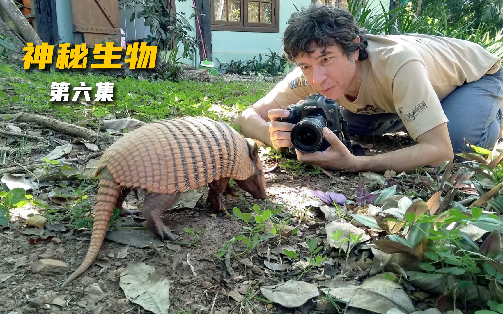神秘生物第六集亚马逊巨型森蚺