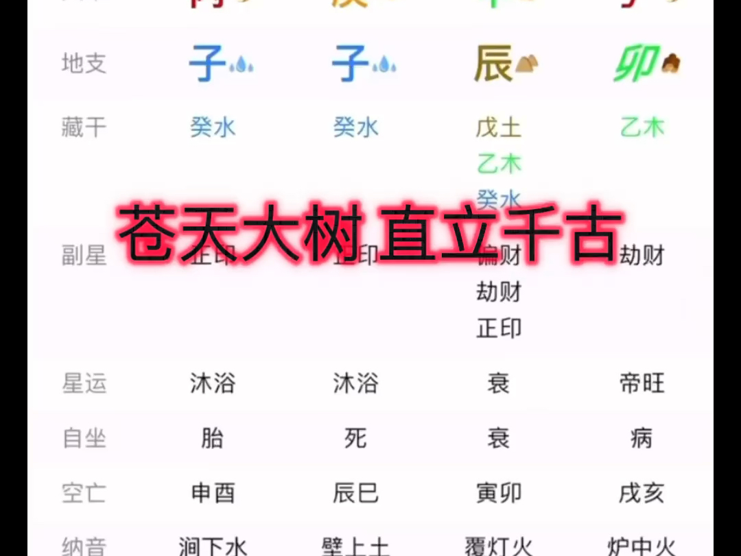 (甲辰日柱) 八字命理案例解析 加关3连 一份简评哔哩哔哩bilibili