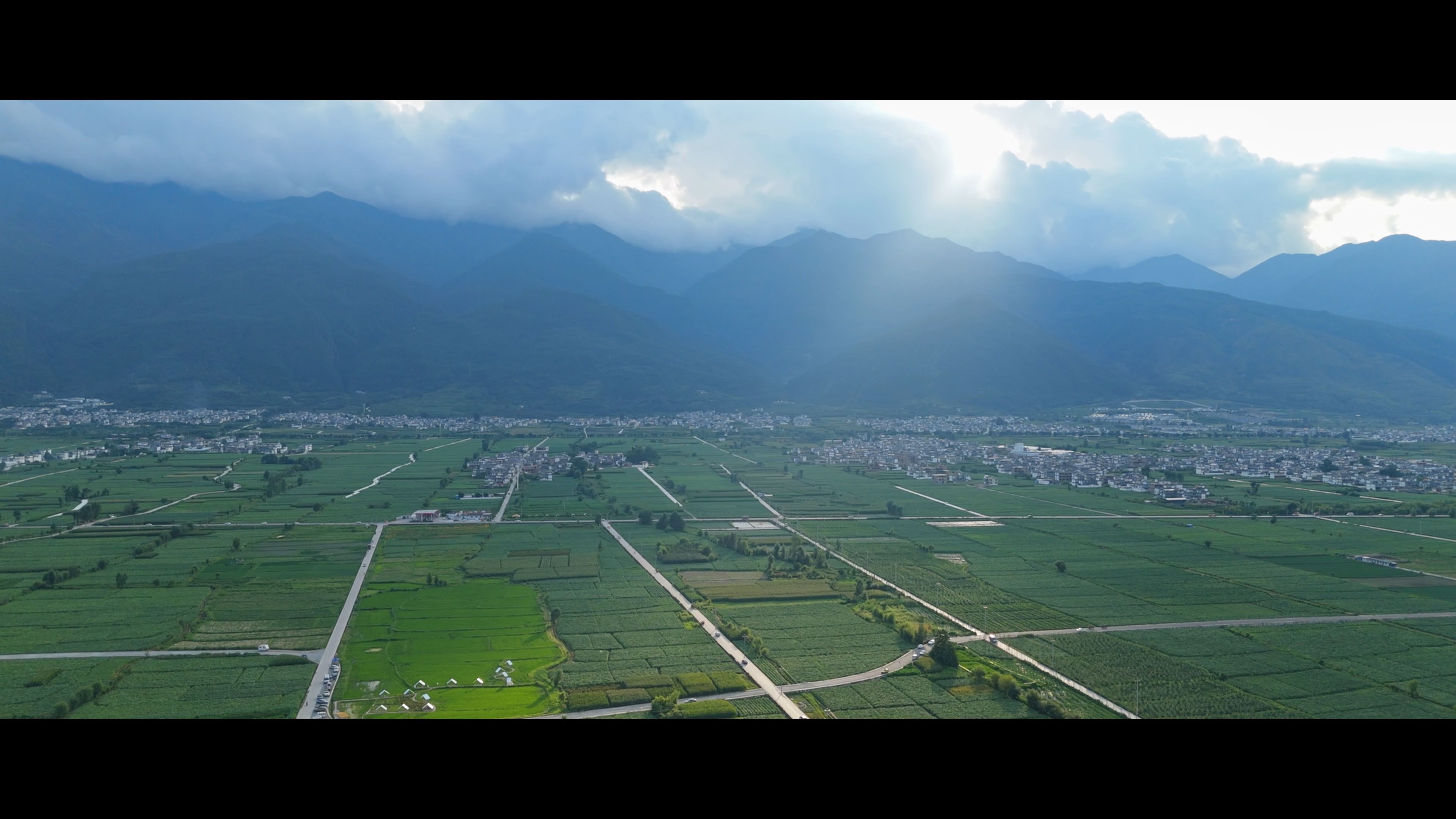 植保无人机助力农业高效化