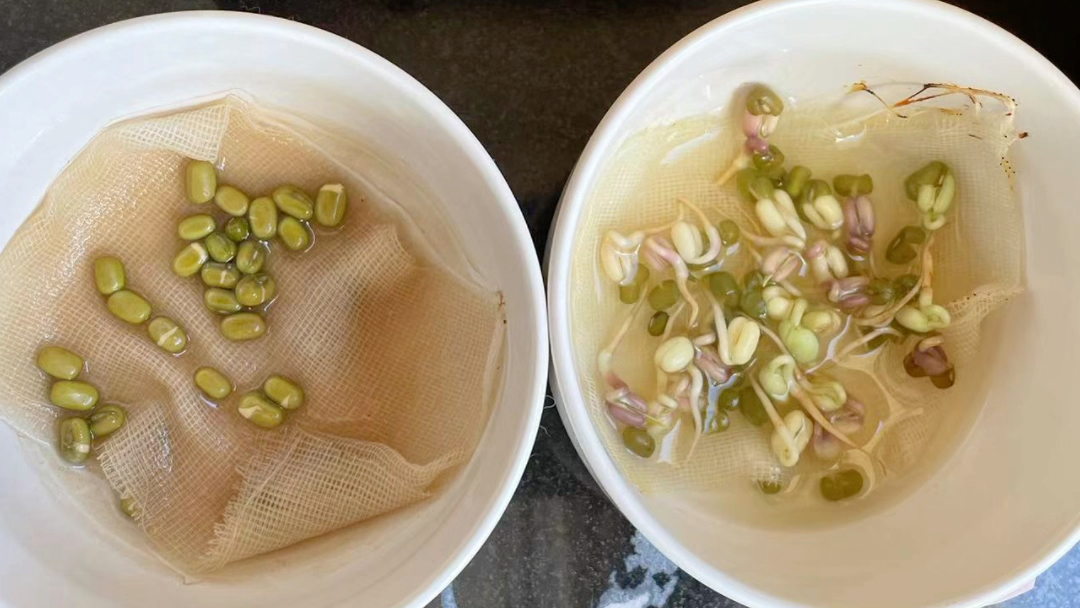 科学实验-酸雨的危害