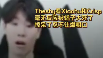 Download Video: Theshy看Xiaohu和Crisp毫无反应被蝎子大死了，惊呆了忍不住爆粗口