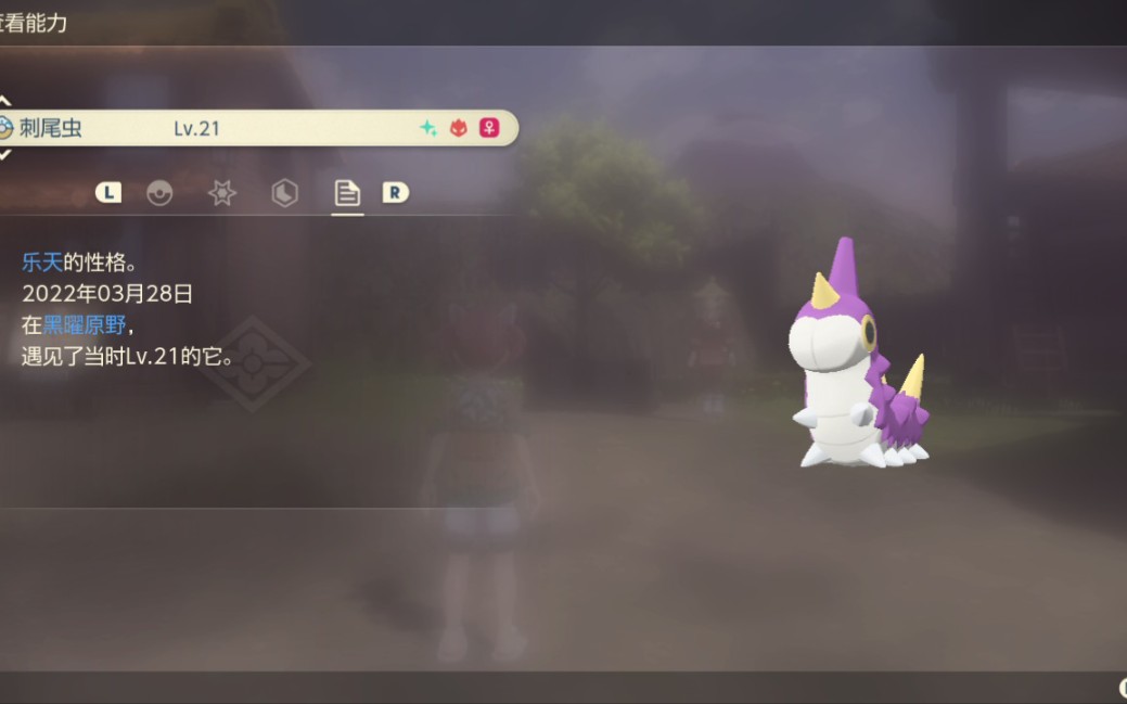 no59闪光头目刺尾虫