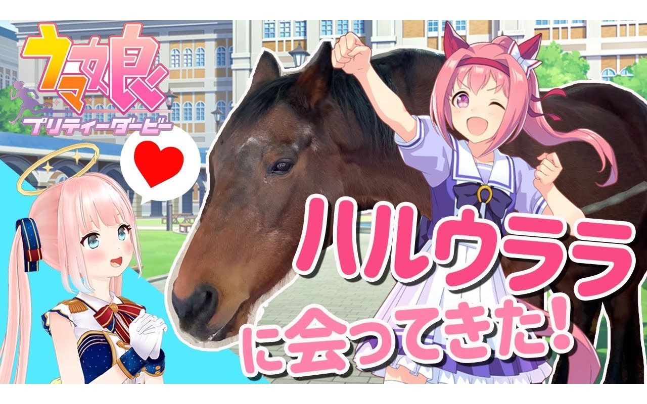 神野たね去见了真正的赛马乌拉拉赛马娘