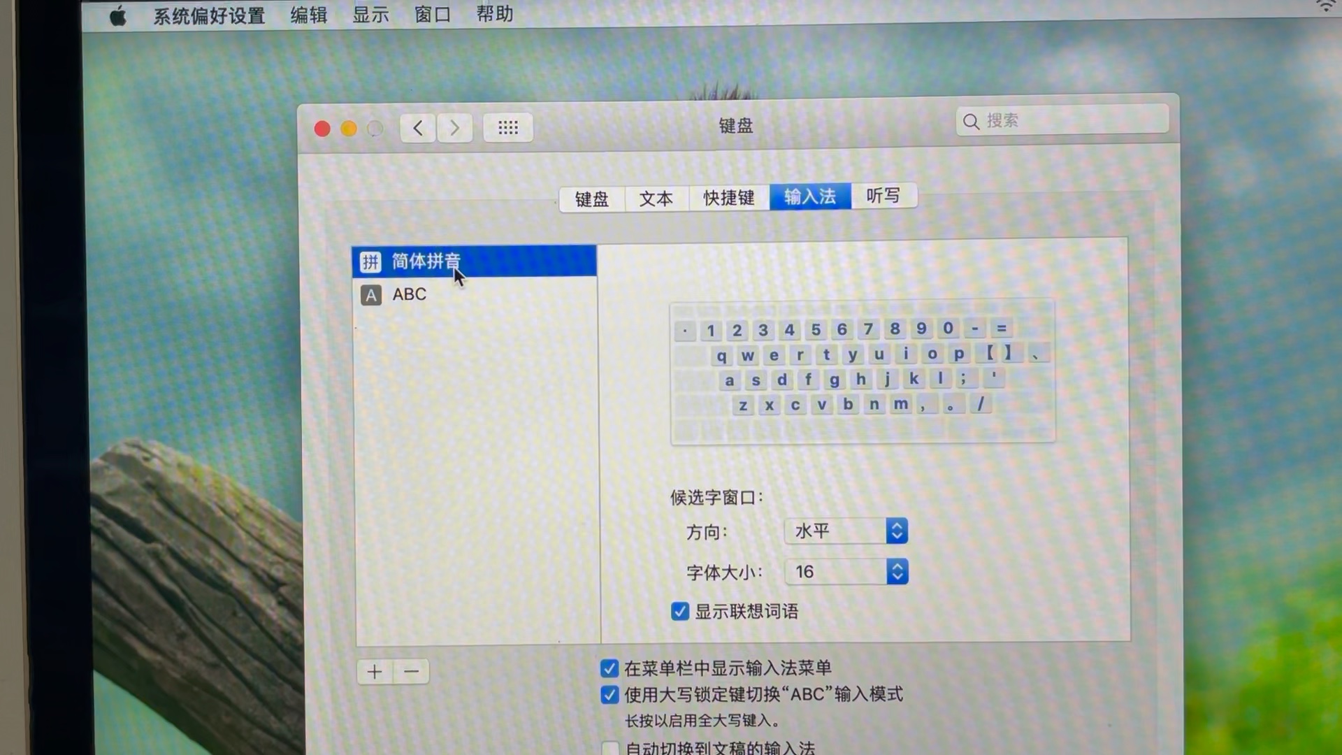 苹果macos系统里,键盘与输入法设置方法.哔哩哔哩bilibili