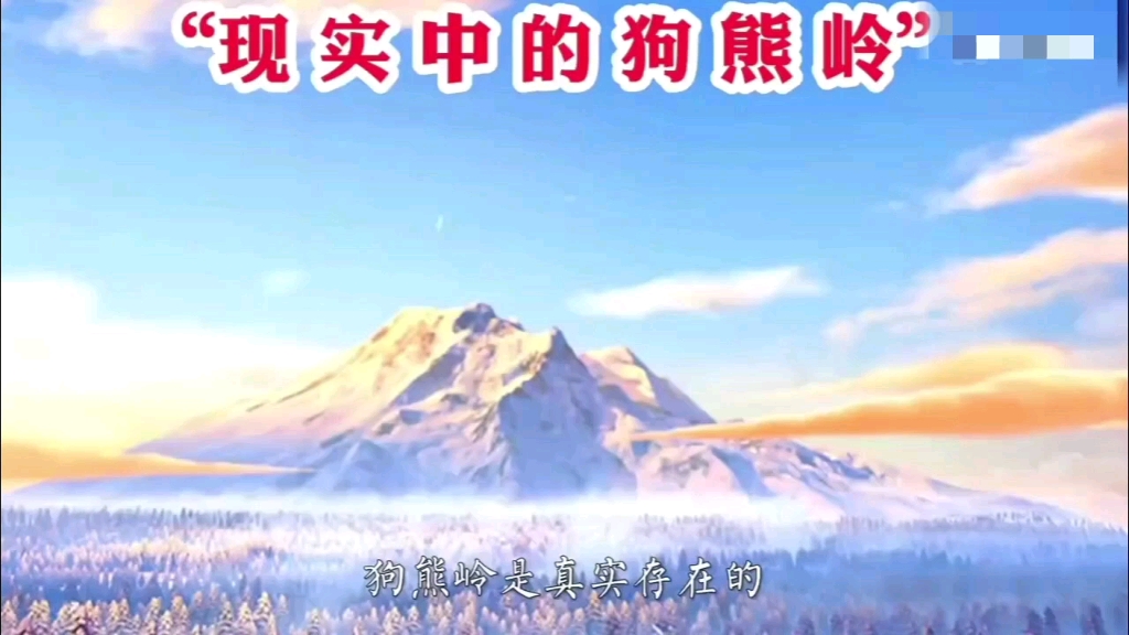 《当狗熊岭的风景照入现实》