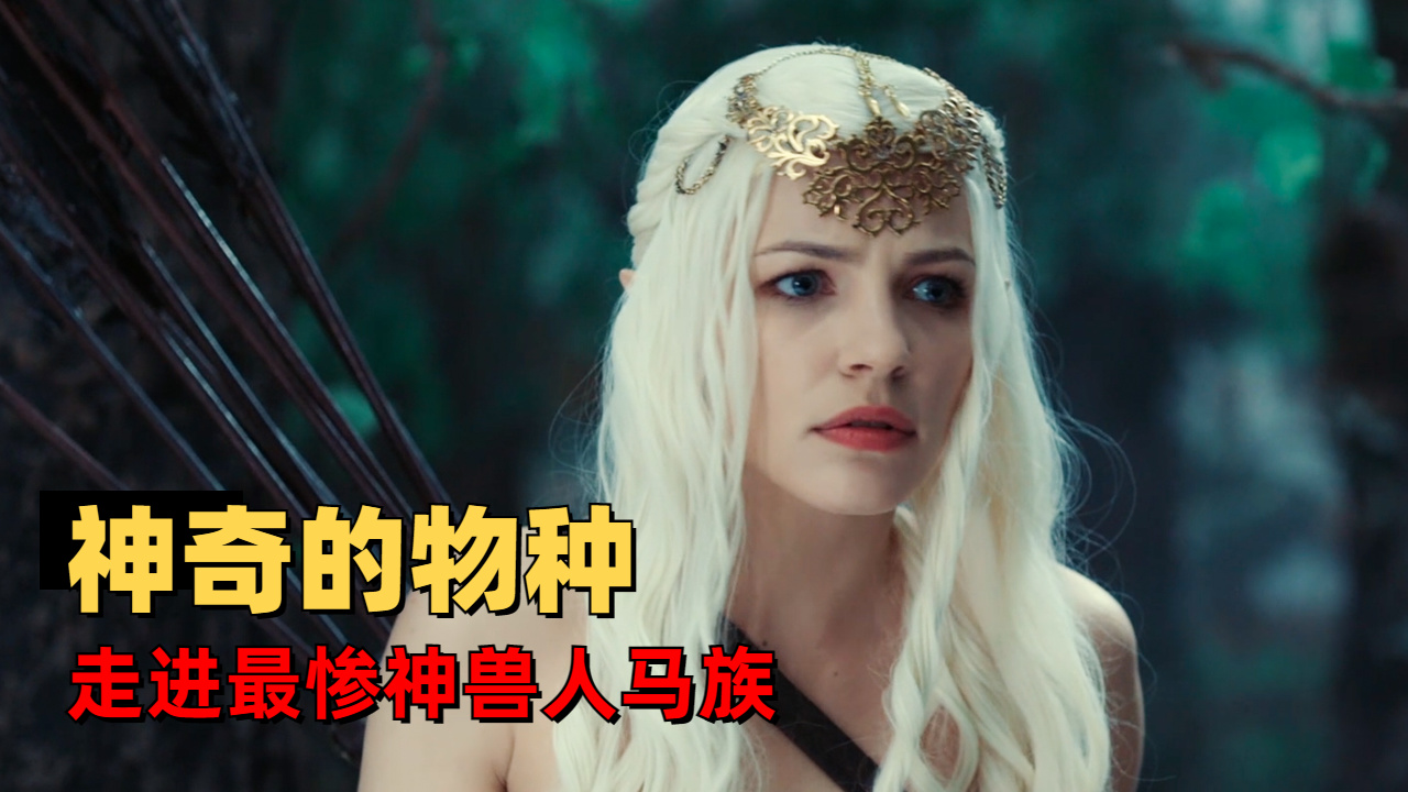 以人马族的视角看电影,圣物被夺堪称最惨神兽