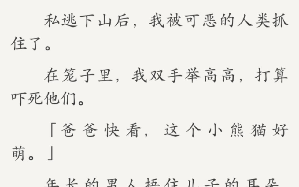 挑战 100 天不说脏话,今天是第一天,开他妈的始!——《小熊猫日记》哔哩哔哩bilibili