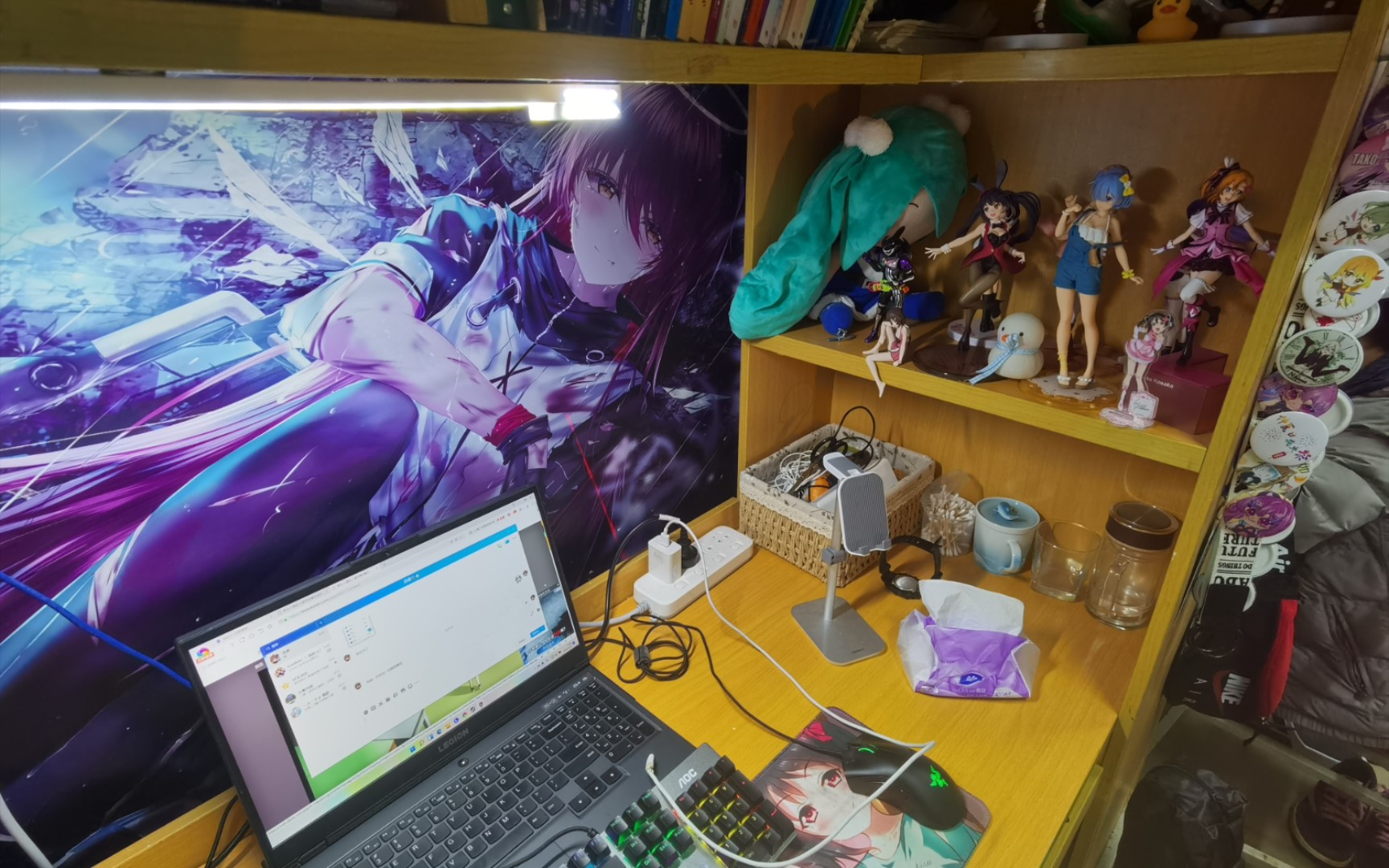 二次元宿舍 - 资源合集 - 小不点搜索