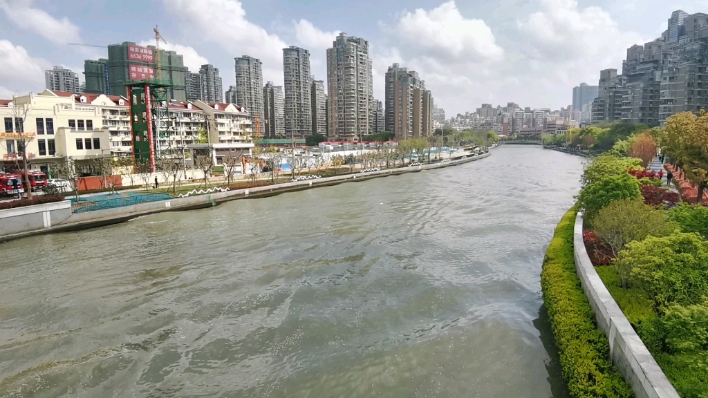 半个月前的拍苏州河,宛如塞纳河