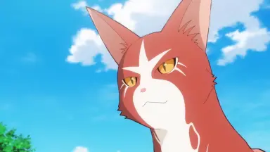 ツヨシしっかりしなさい-哔哩哔哩_Bilibili