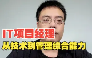 Download Video: IT项目经理-构建技术和管理综合能力