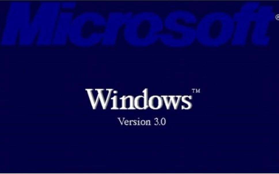windows 30 & 31 安装和试用
