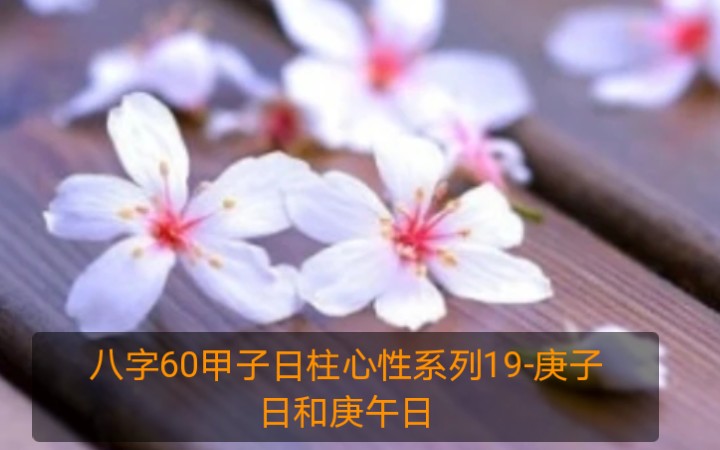 八字60甲子日柱心性系列19庚子日和庚午日哔哩哔哩bilibili