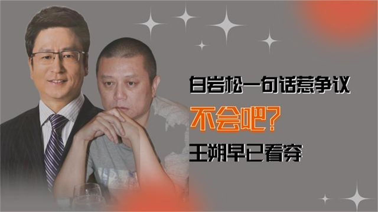 白岩松只因一句不会吧而引火上身他终于道歉了王朔仍旧意难平